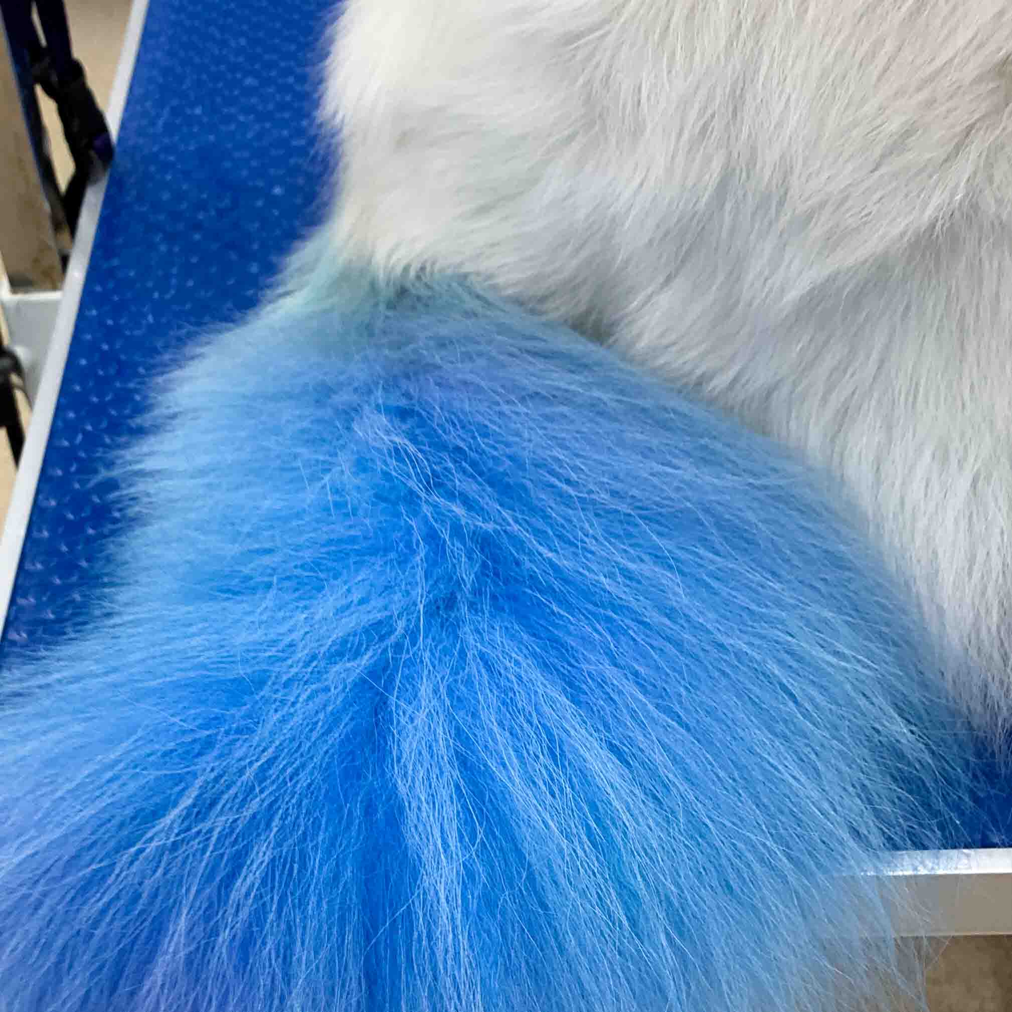 Home Button Dog Grooming