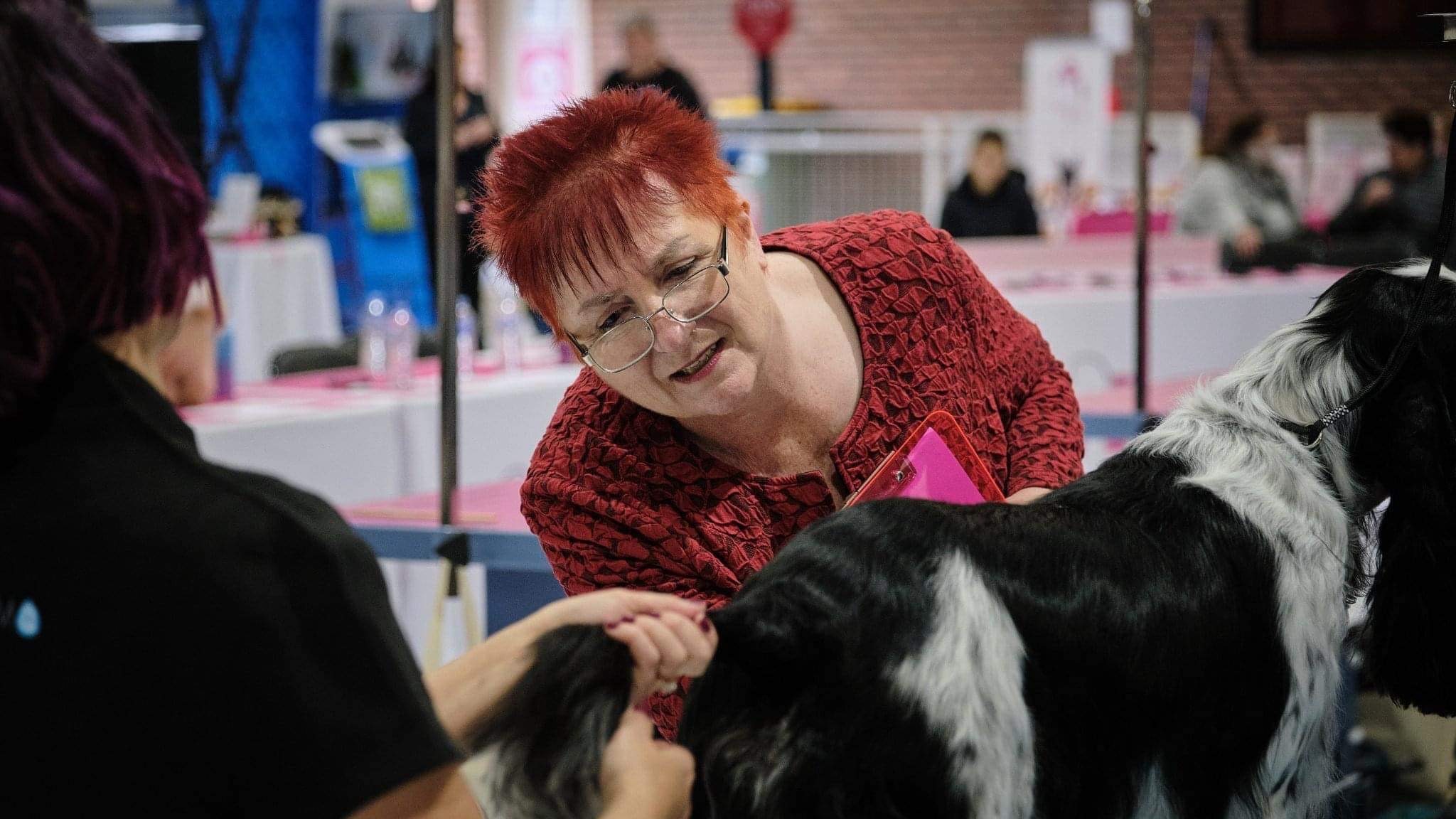 judging team event 2022 https://buttondoggrooming.com.au/wp-content/uploads/2022/10/judging-team-event-2022.jpg