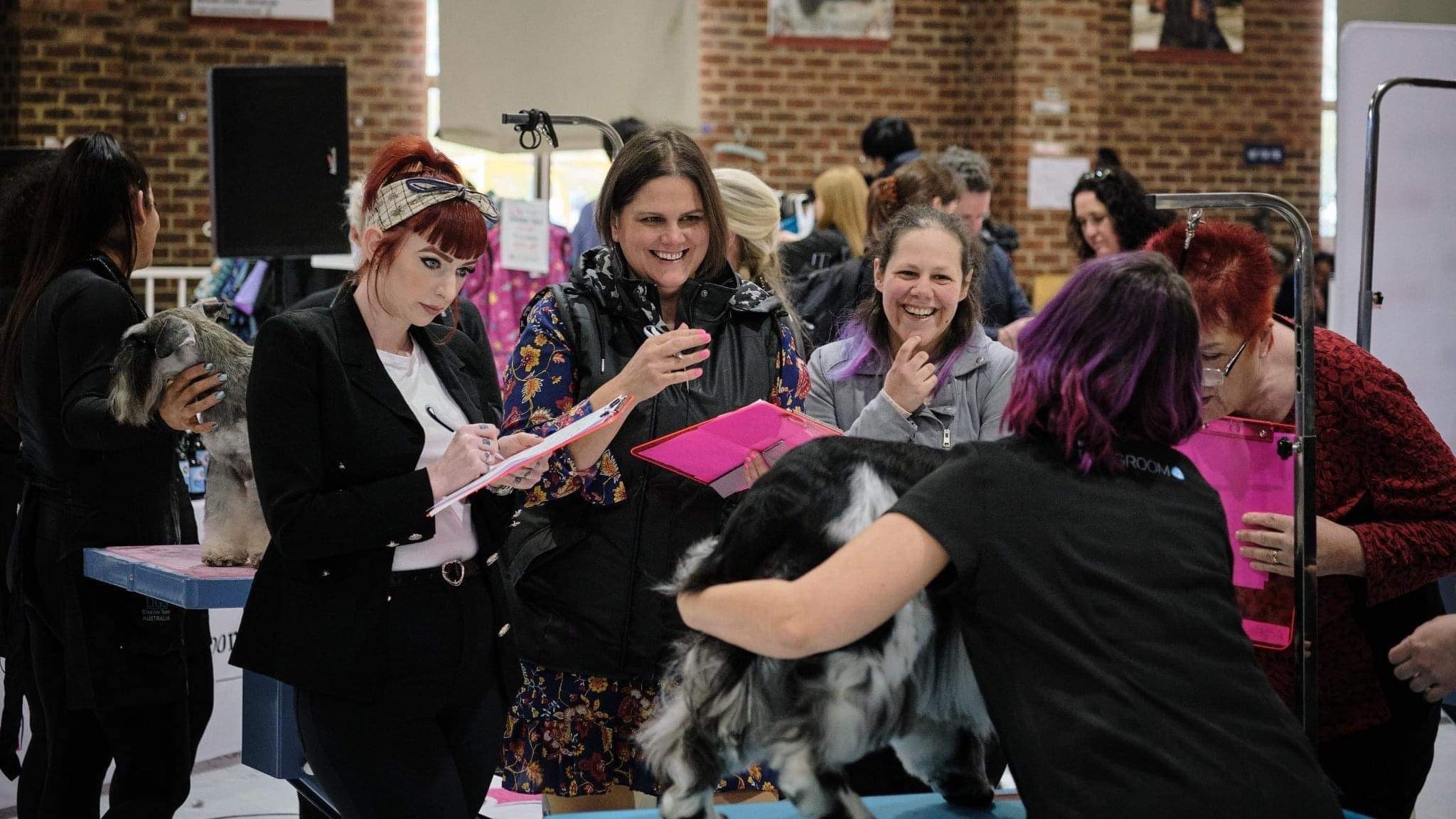 judging team event2 2022 https://buttondoggrooming.com.au/wp-content/uploads/2022/10/judging-team-event2-2022.jpg