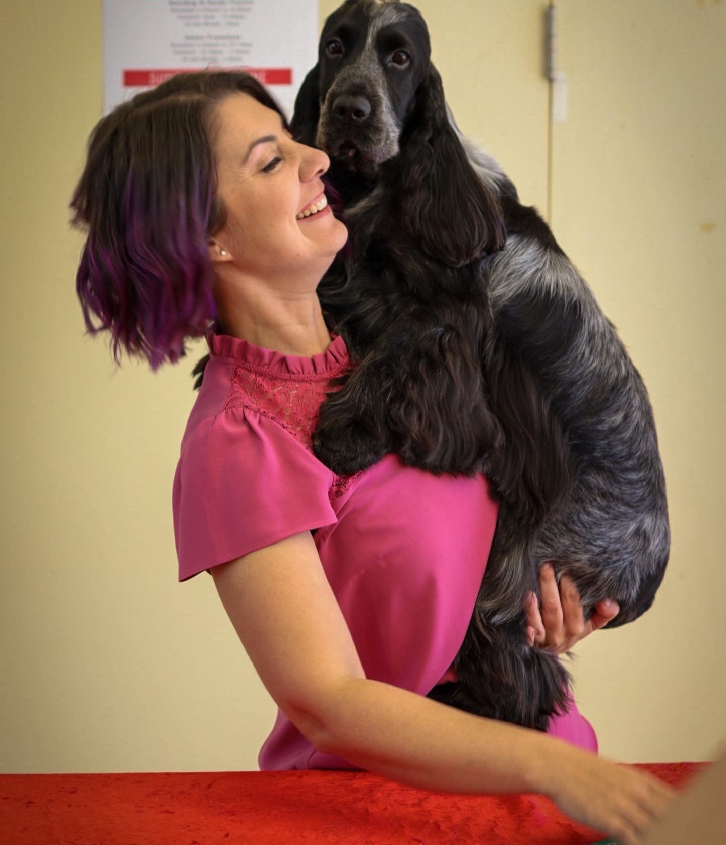 pup cup 2022 https://buttondoggrooming.com.au/wp-content/uploads/2022/10/pup-cup-2022.jpg