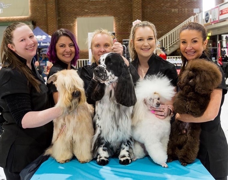 team photo2 2022 https://buttondoggrooming.com.au/wp-content/uploads/2022/10/team-photo2-2022.jpg