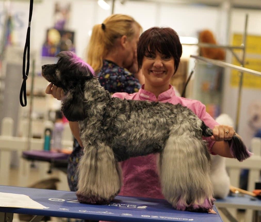 Olive 1 https://buttondoggrooming.com.au/wp-content/uploads/2024/08/Olive-1.jpg