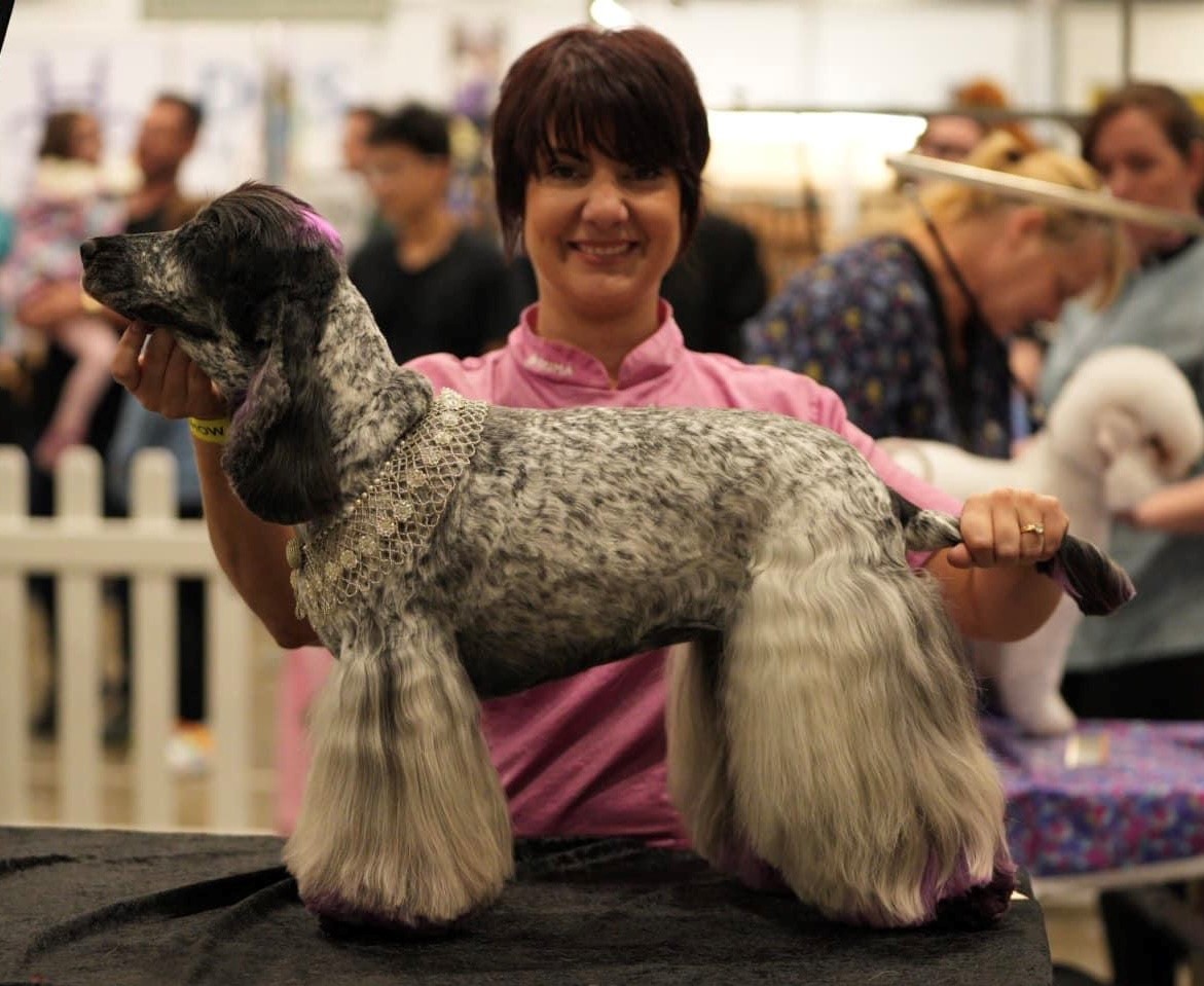 Olive 2 https://buttondoggrooming.com.au/wp-content/uploads/2024/08/Olive-2.jpg