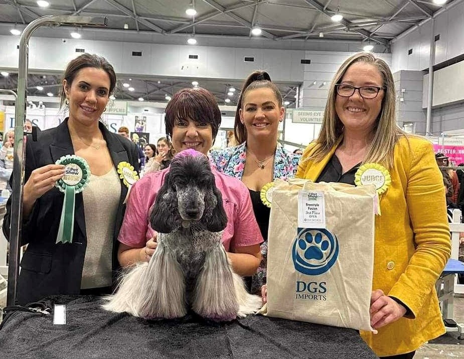 Olive 3 https://buttondoggrooming.com.au/wp-content/uploads/2024/08/Olive-3.jpg