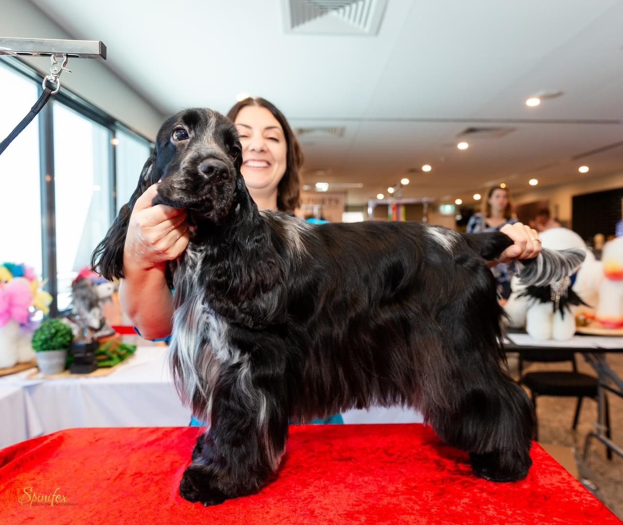 Roast 2 https://buttondoggrooming.com.au/wp-content/uploads/2024/08/Roast-2.jpg
