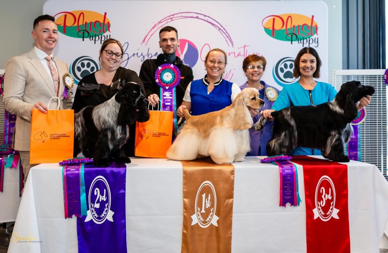 Roast 5 https://buttondoggrooming.com.au/wp-content/uploads/2024/08/Roast-5.jpg