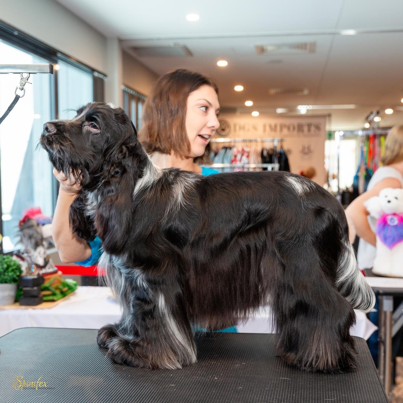 Roast before https://buttondoggrooming.com.au/wp-content/uploads/2024/08/Roast-before.jpg