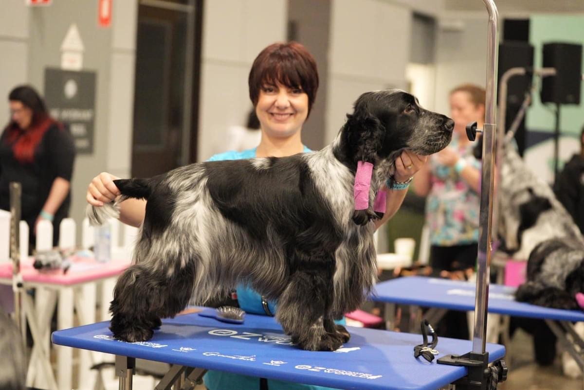 box6 https://buttondoggrooming.com.au/wp-content/uploads/2024/08/box6.jpg