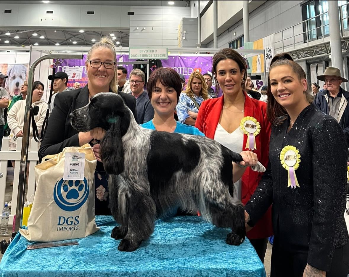 box7 https://buttondoggrooming.com.au/wp-content/uploads/2024/08/box7.jpg