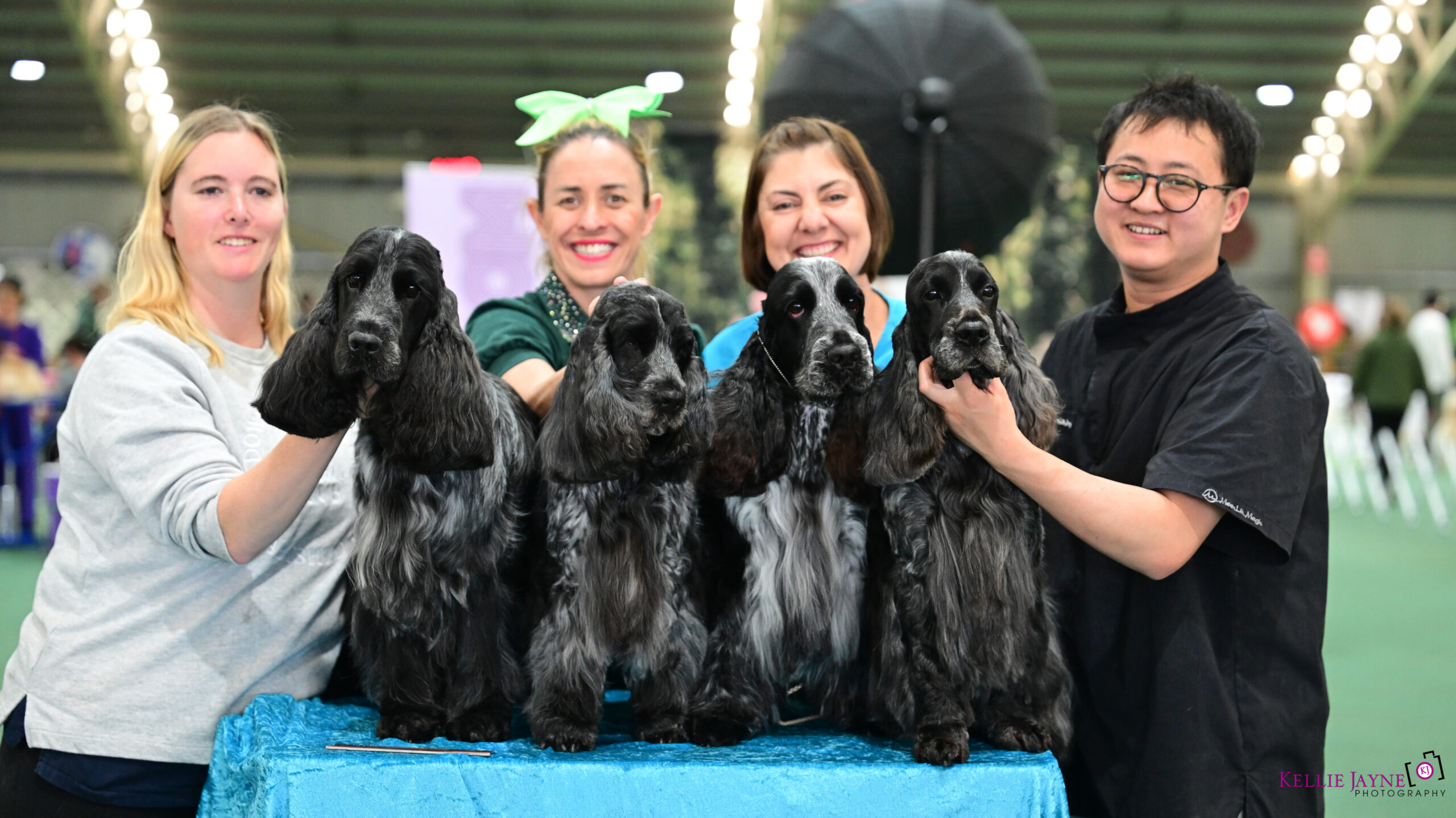BDDO_Ram-613 https://buttondoggrooming.com.au/wp-content/uploads/2025/12/BDDO_Ram-613-scaled.jpg