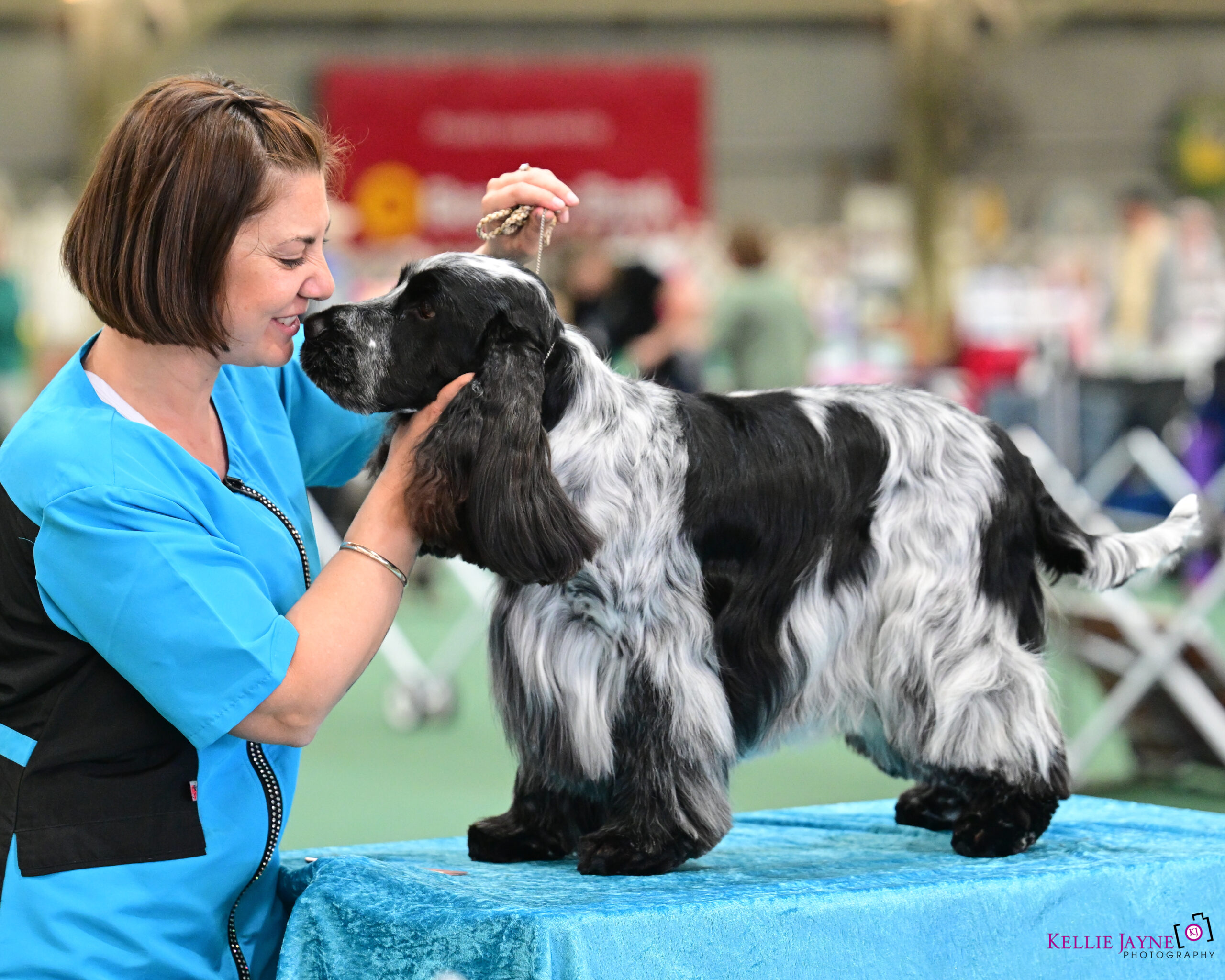 BDDO_Ram-639 https://buttondoggrooming.com.au/wp-content/uploads/2025/12/BDDO_Ram-639-scaled.jpg