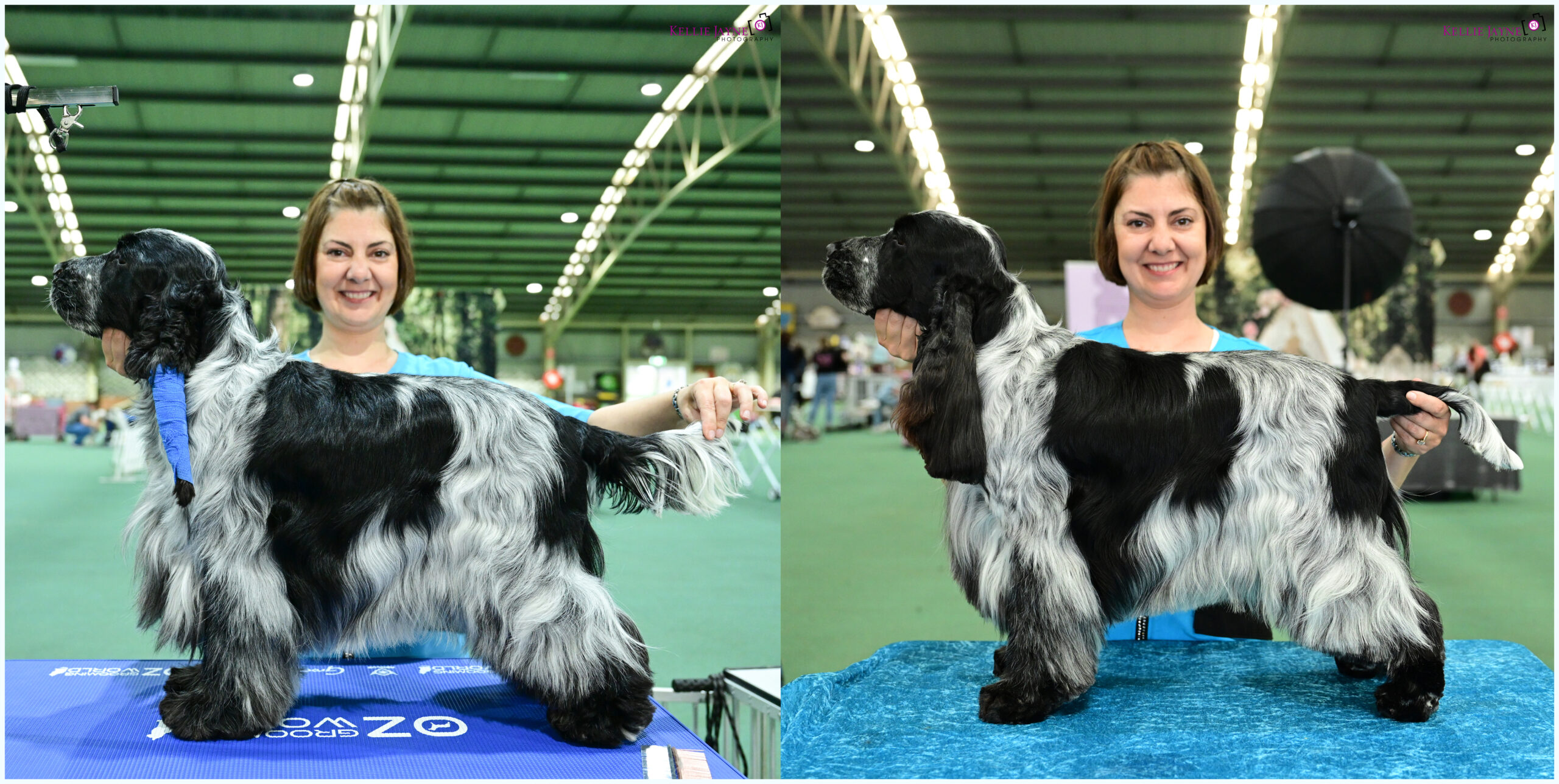 BFA_004 https://buttondoggrooming.com.au/wp-content/uploads/2025/12/BFA_004-scaled.jpg