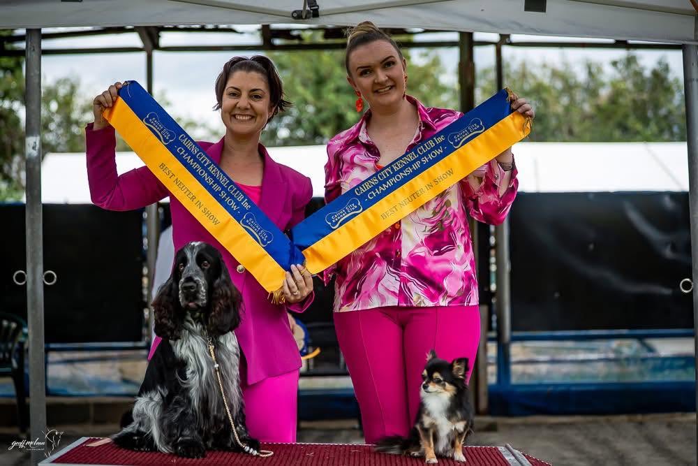 https://buttondoggrooming.com.au/wp-content/uploads/2026/10/Dog22.jpg