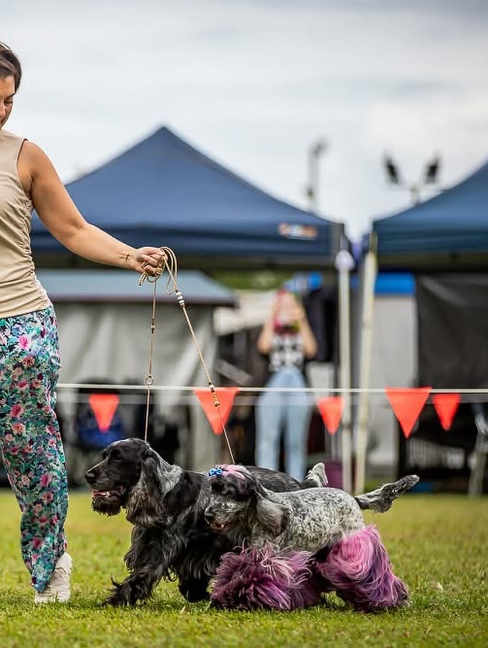 https://buttondoggrooming.com.au/wp-content/uploads/2026/10/Dog31.jpg