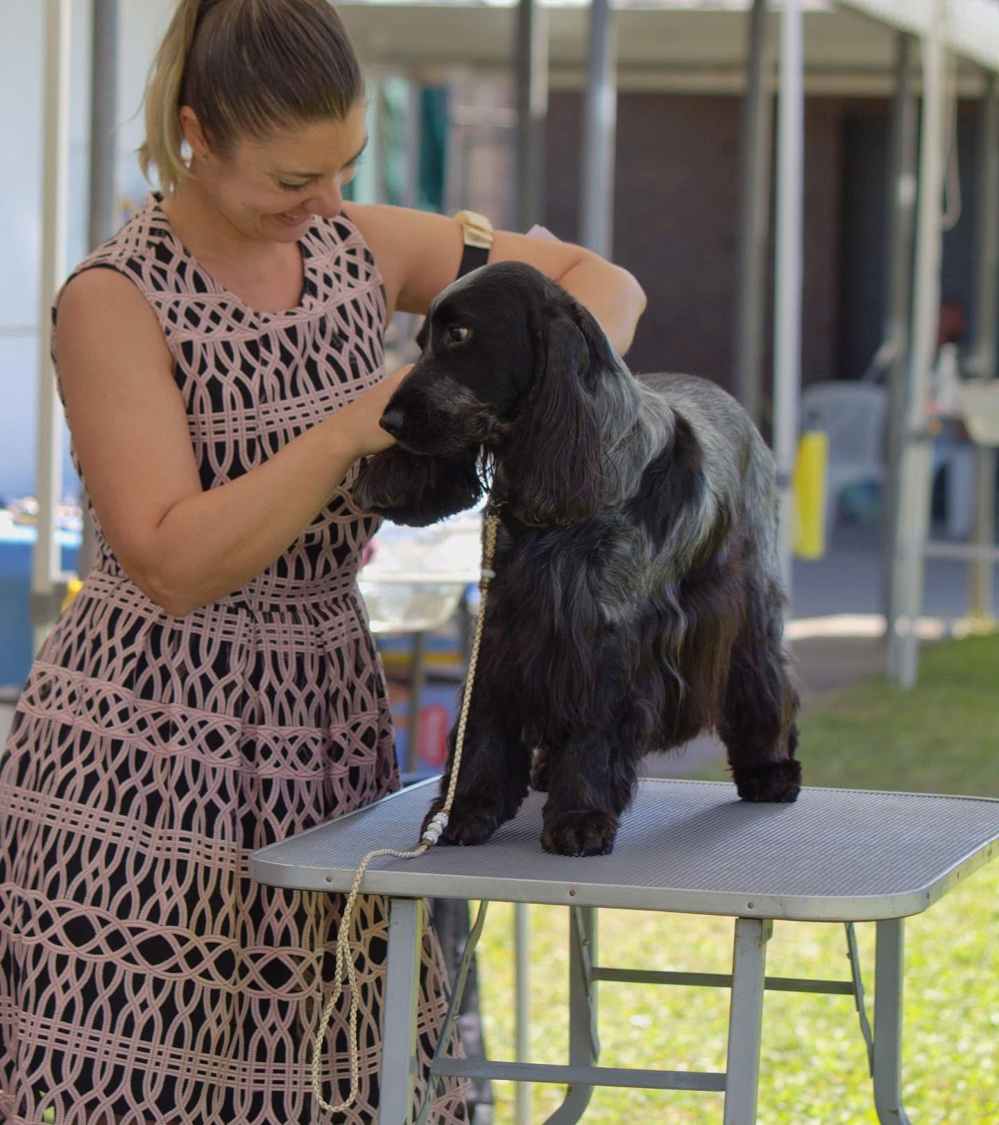 https://buttondoggrooming.com.au/wp-content/uploads/2026/10/Dog42.jpg