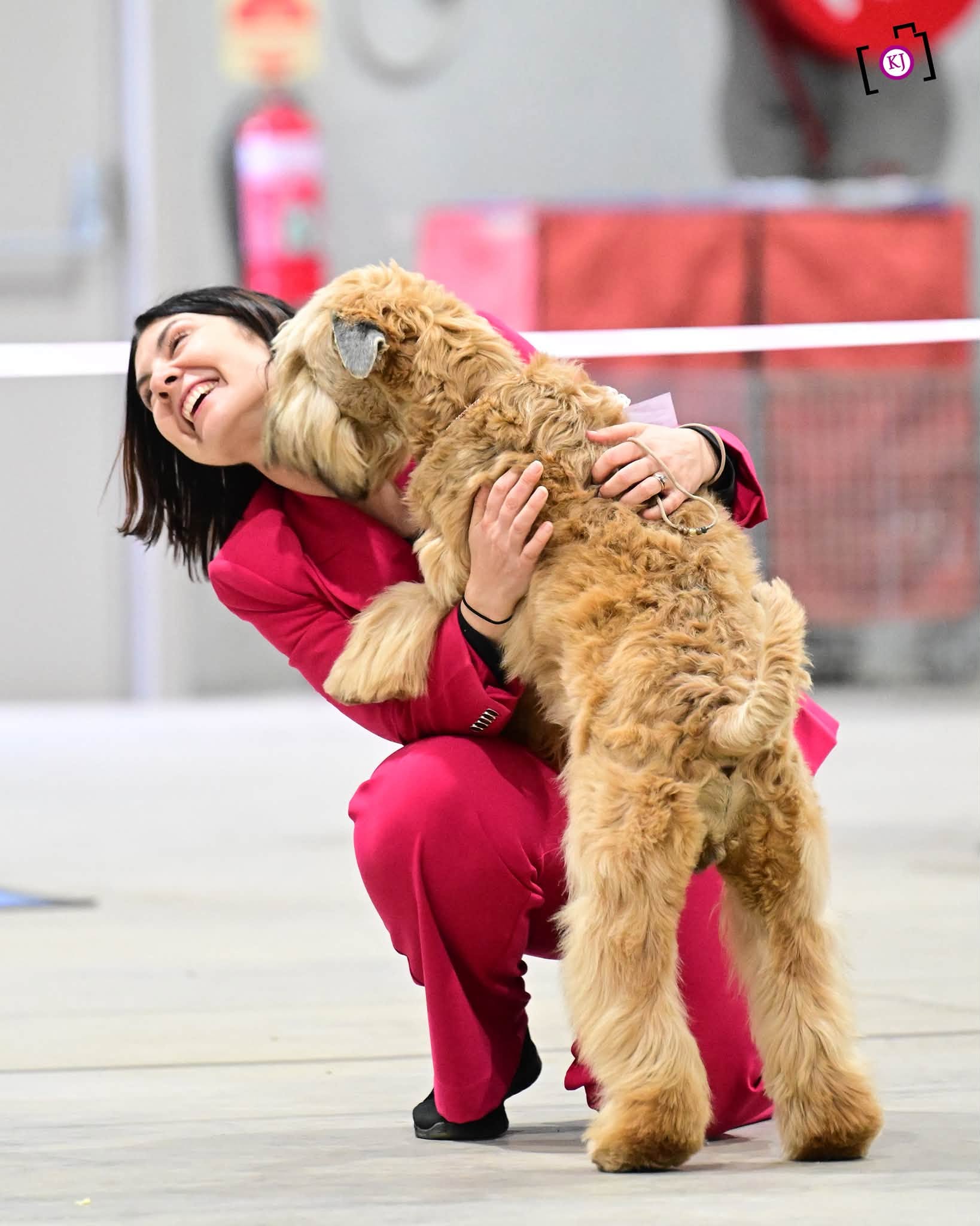 https://buttondoggrooming.com.au/wp-content/uploads/2026/10/dog.jpg