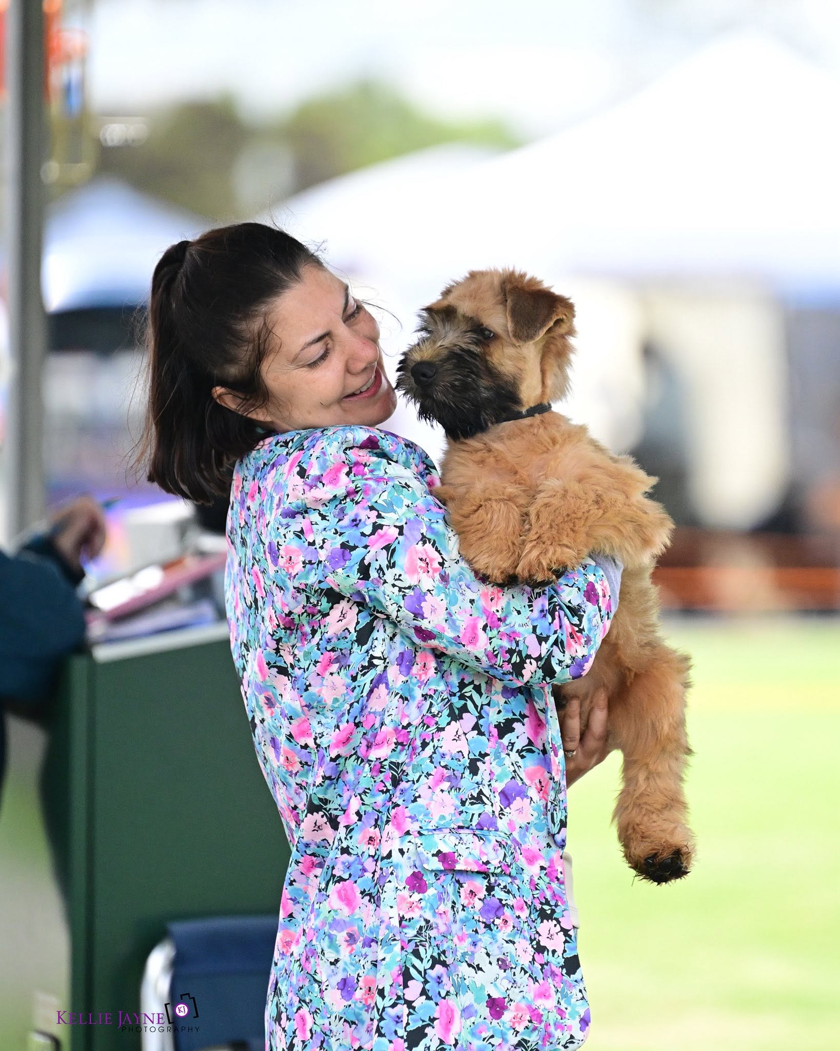 https://buttondoggrooming.com.au/wp-content/uploads/2026/10/dog12.jpg