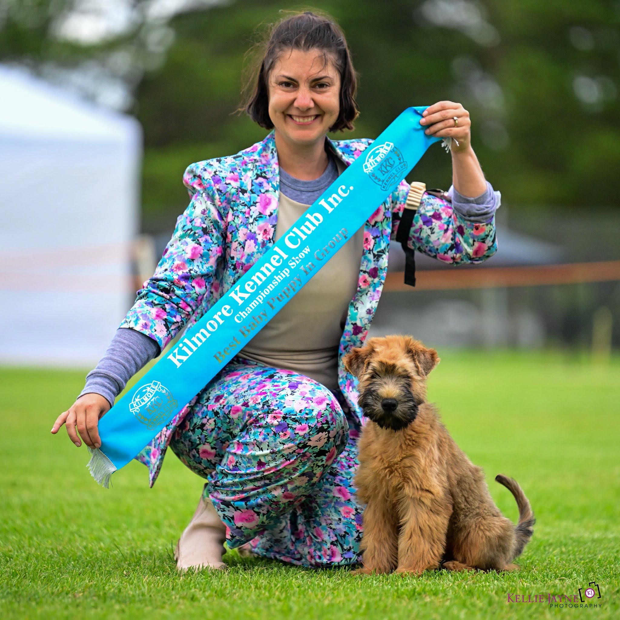 https://buttondoggrooming.com.au/wp-content/uploads/2026/10/dog13.jpg