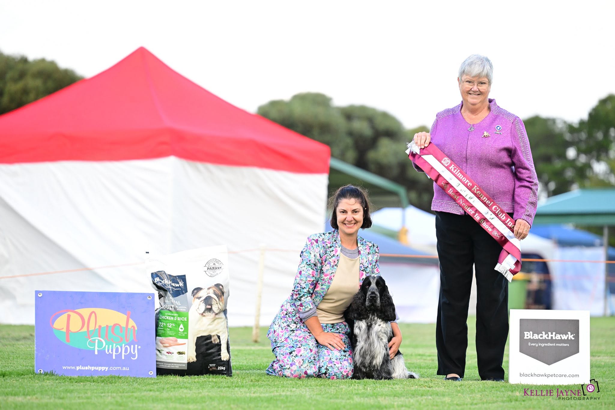 https://buttondoggrooming.com.au/wp-content/uploads/2026/10/dog14.jpg