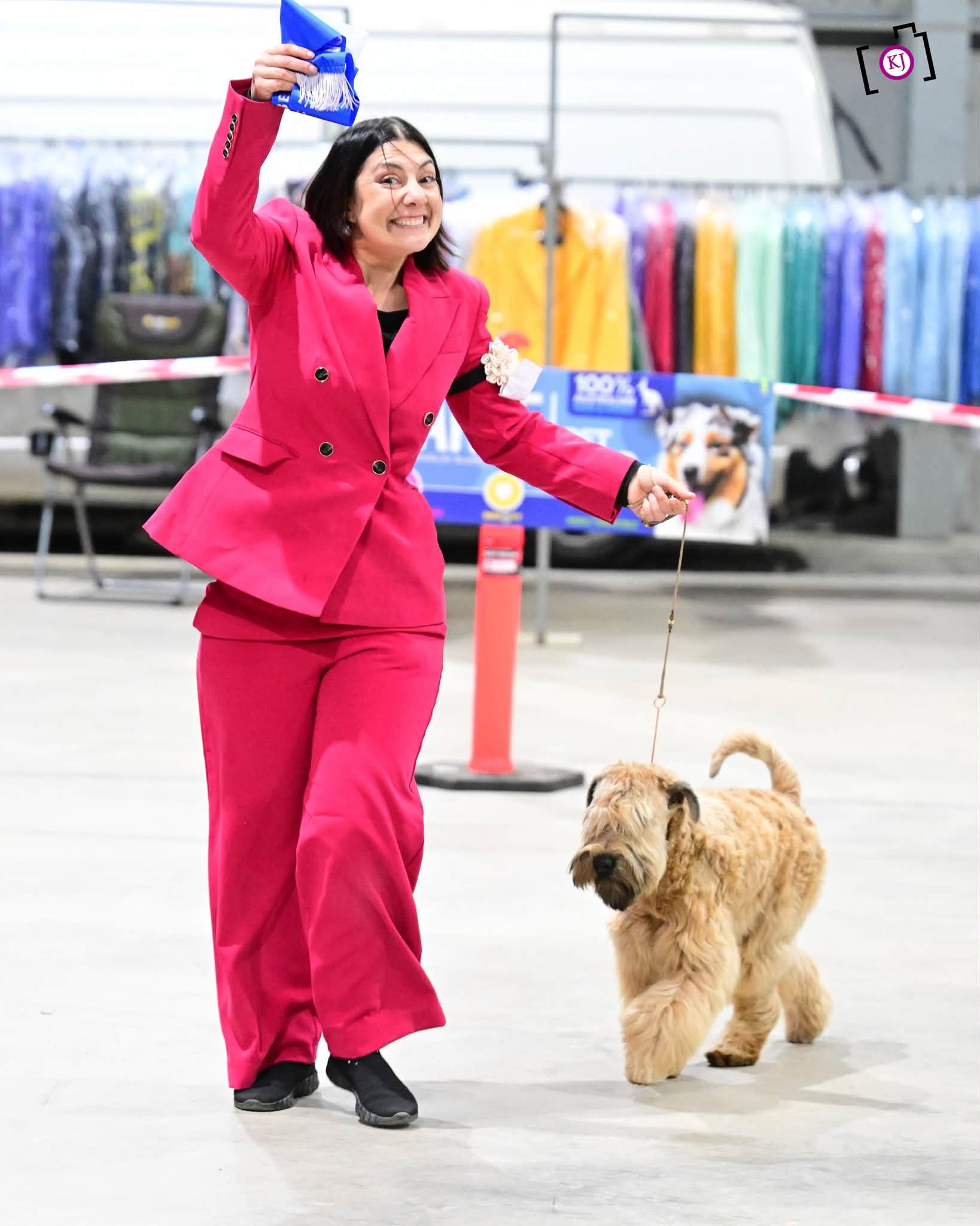 https://buttondoggrooming.com.au/wp-content/uploads/2026/10/dog2-1.jpg