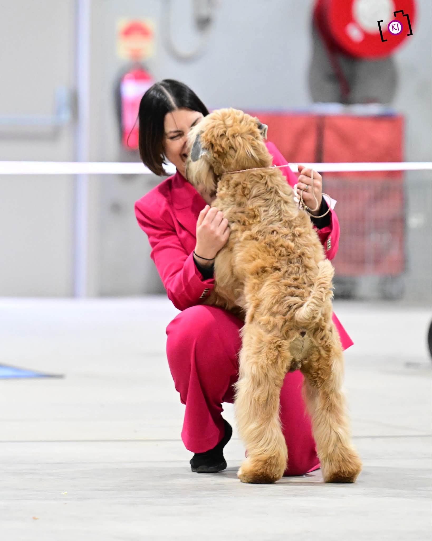 https://buttondoggrooming.com.au/wp-content/uploads/2026/10/dog3.jpg