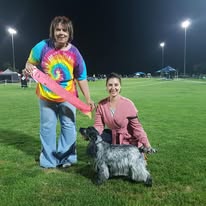 https://buttondoggrooming.com.au/wp-content/uploads/2026/10/dog33.jpg