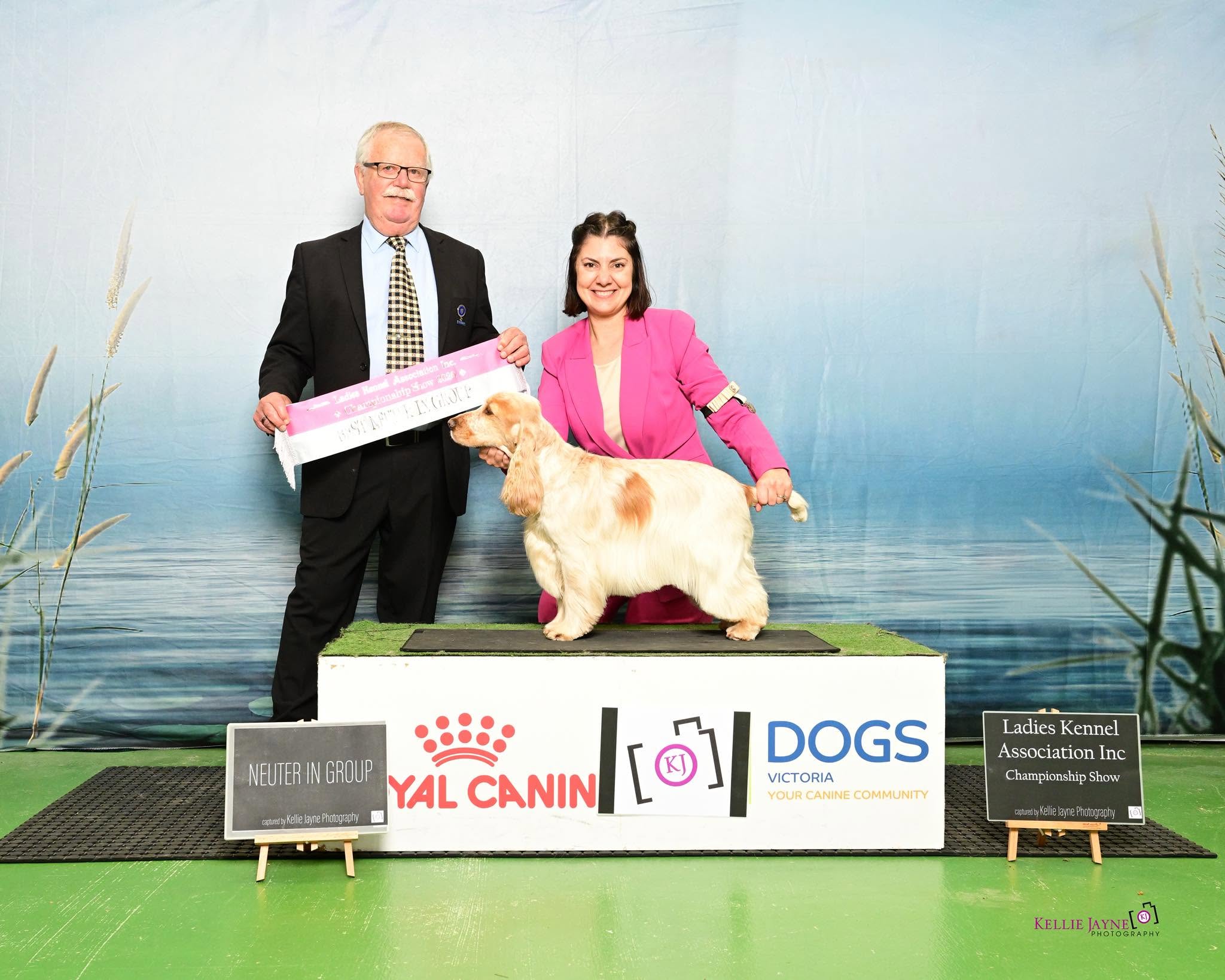 https://buttondoggrooming.com.au/wp-content/uploads/2026/10/dog5.jpg