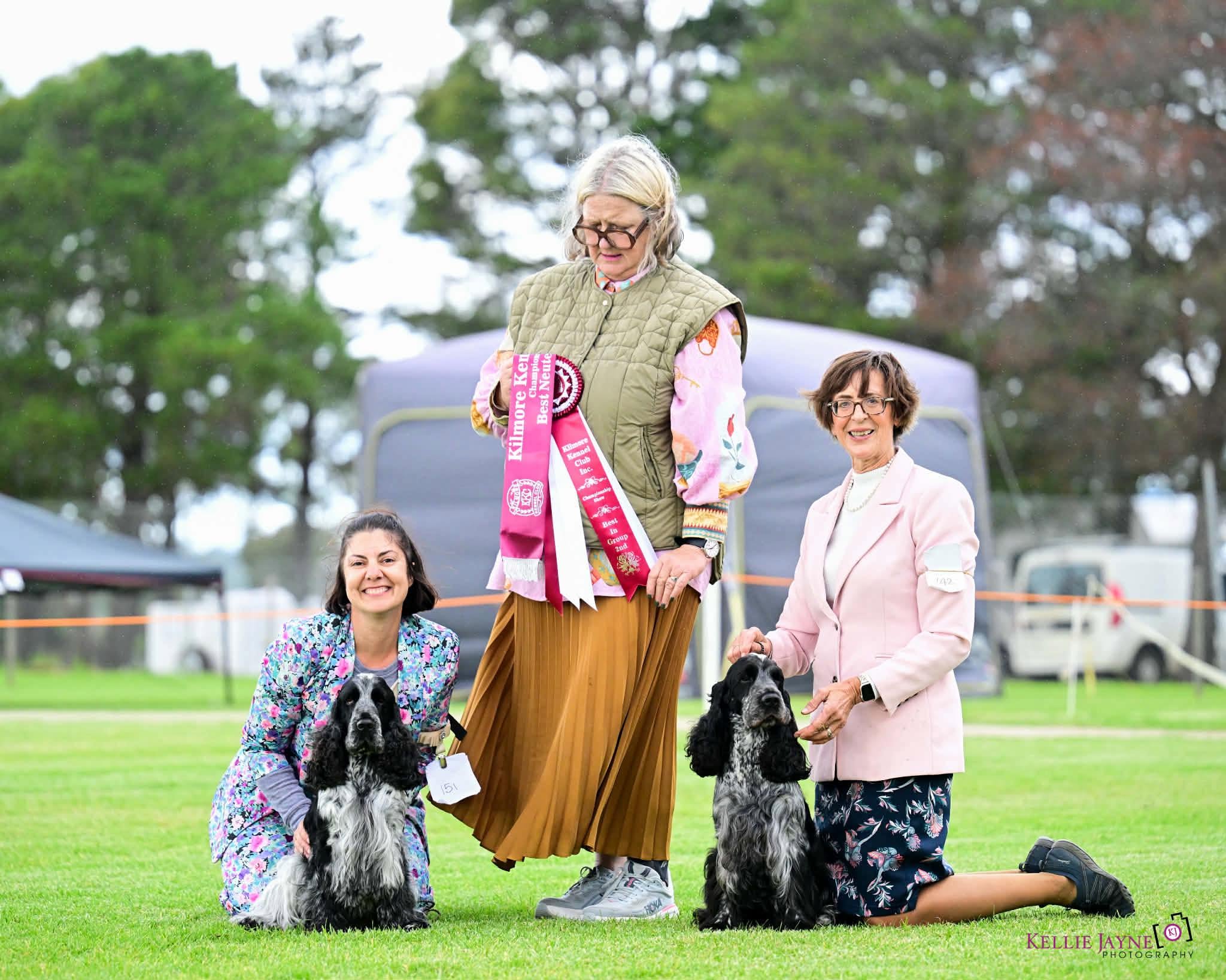 https://buttondoggrooming.com.au/wp-content/uploads/2026/10/dog9.jpg